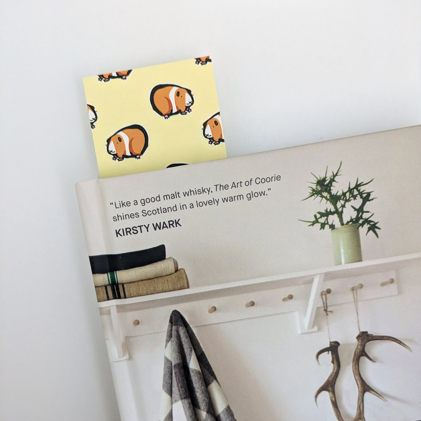 Sunny the Guinea Pig Bookmark