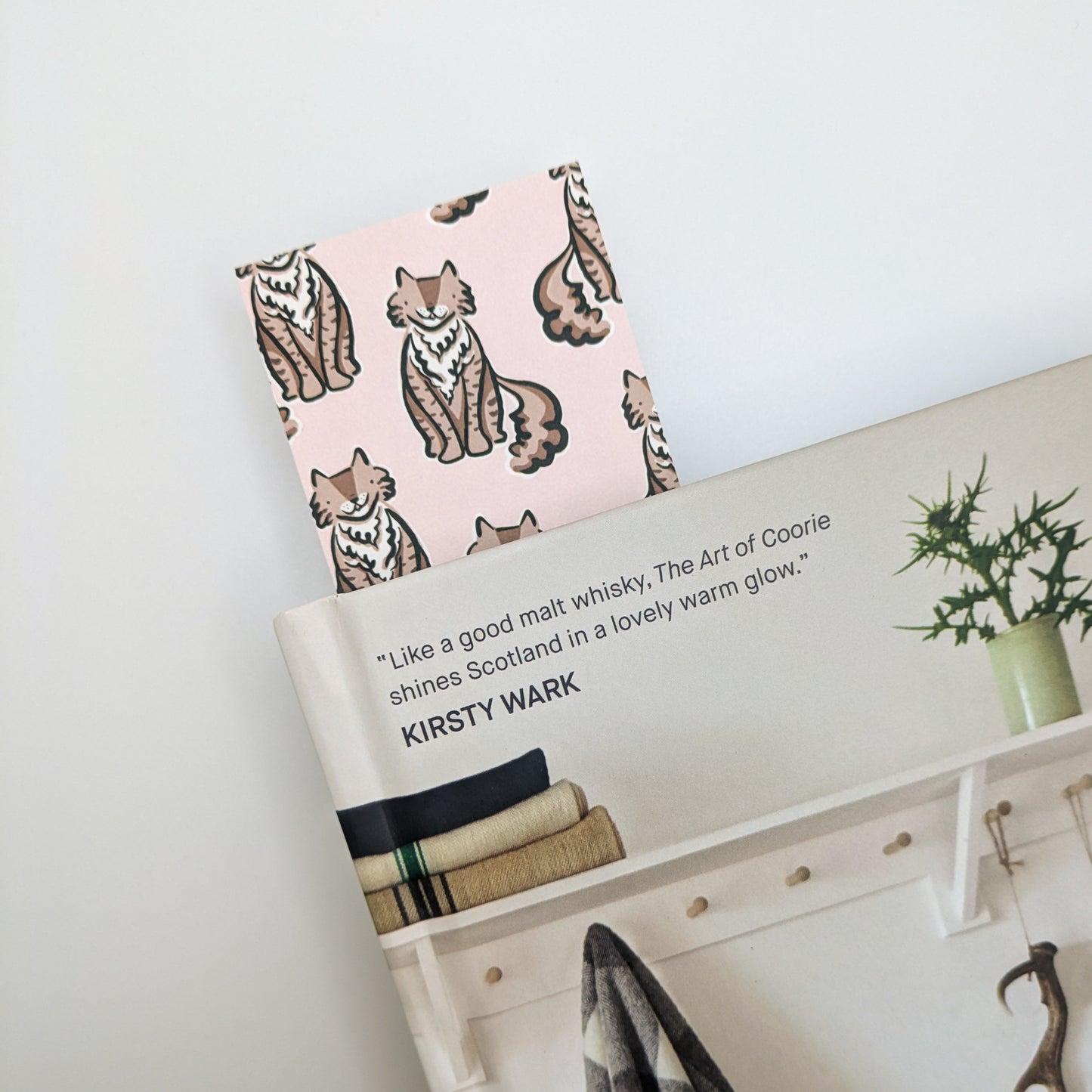 Mocha the Brown Fluffy Cat Bookmark