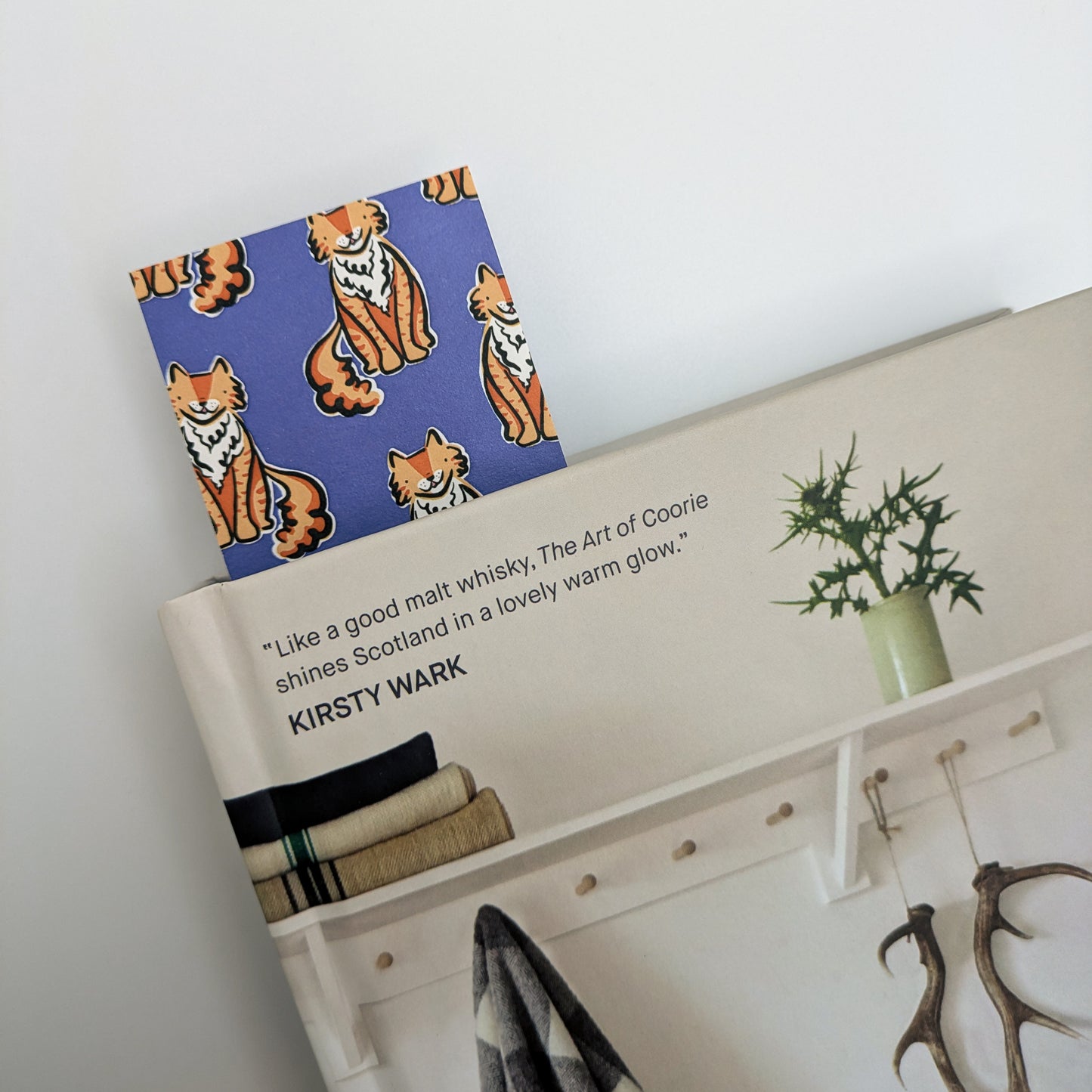 Jasper the Fluffy Ginger Cat Bookmark