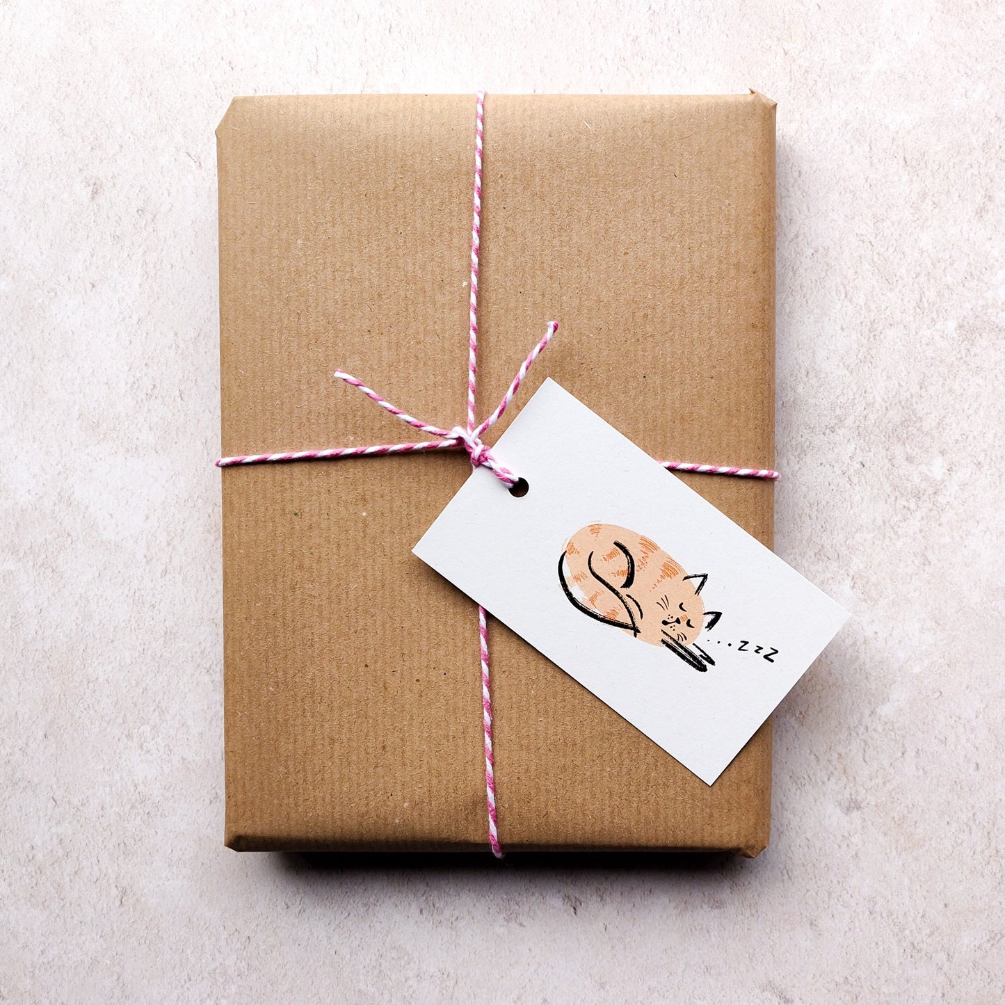 Cosy Cat Orange Gift Tags | Pack of 6