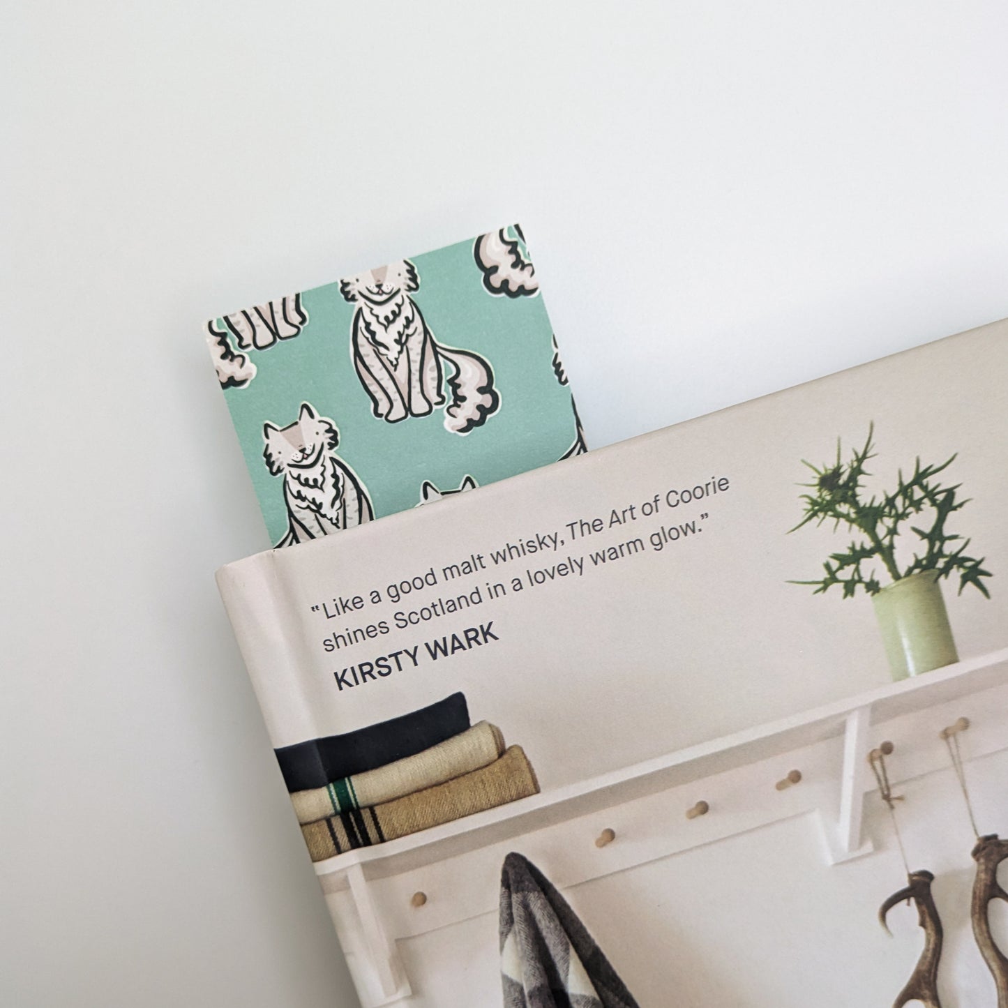 Dylan the Grey Fluffy Cat Bookmark
