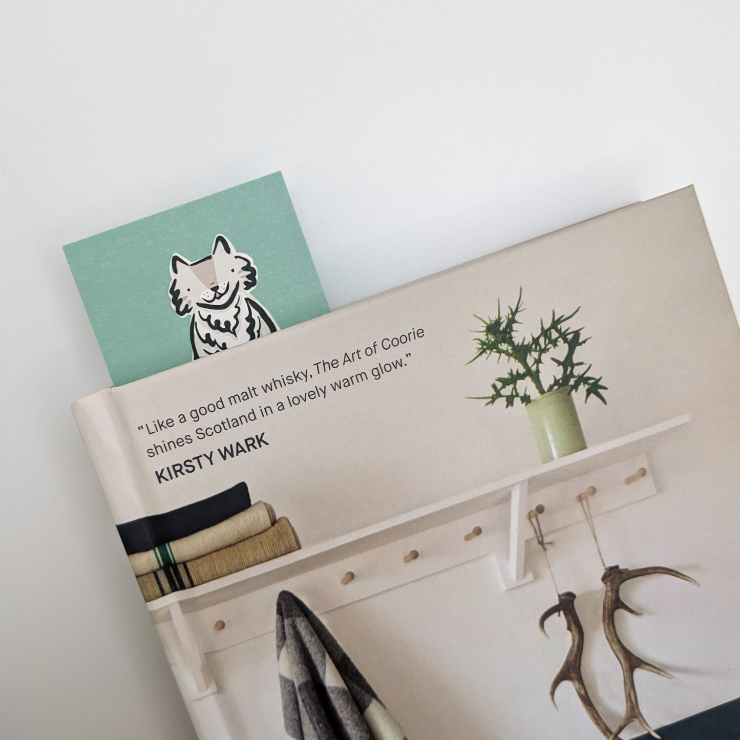 Dylan the Grey Fluffy Cat Bookmark