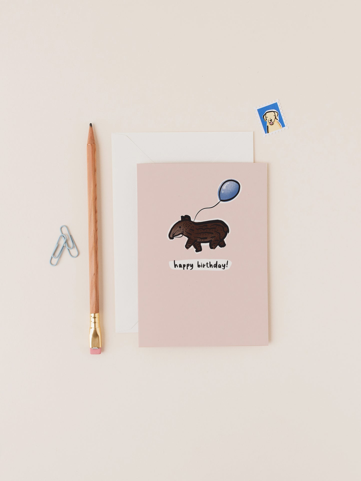 Baby Brazilian Tapir Pink Birthday Card