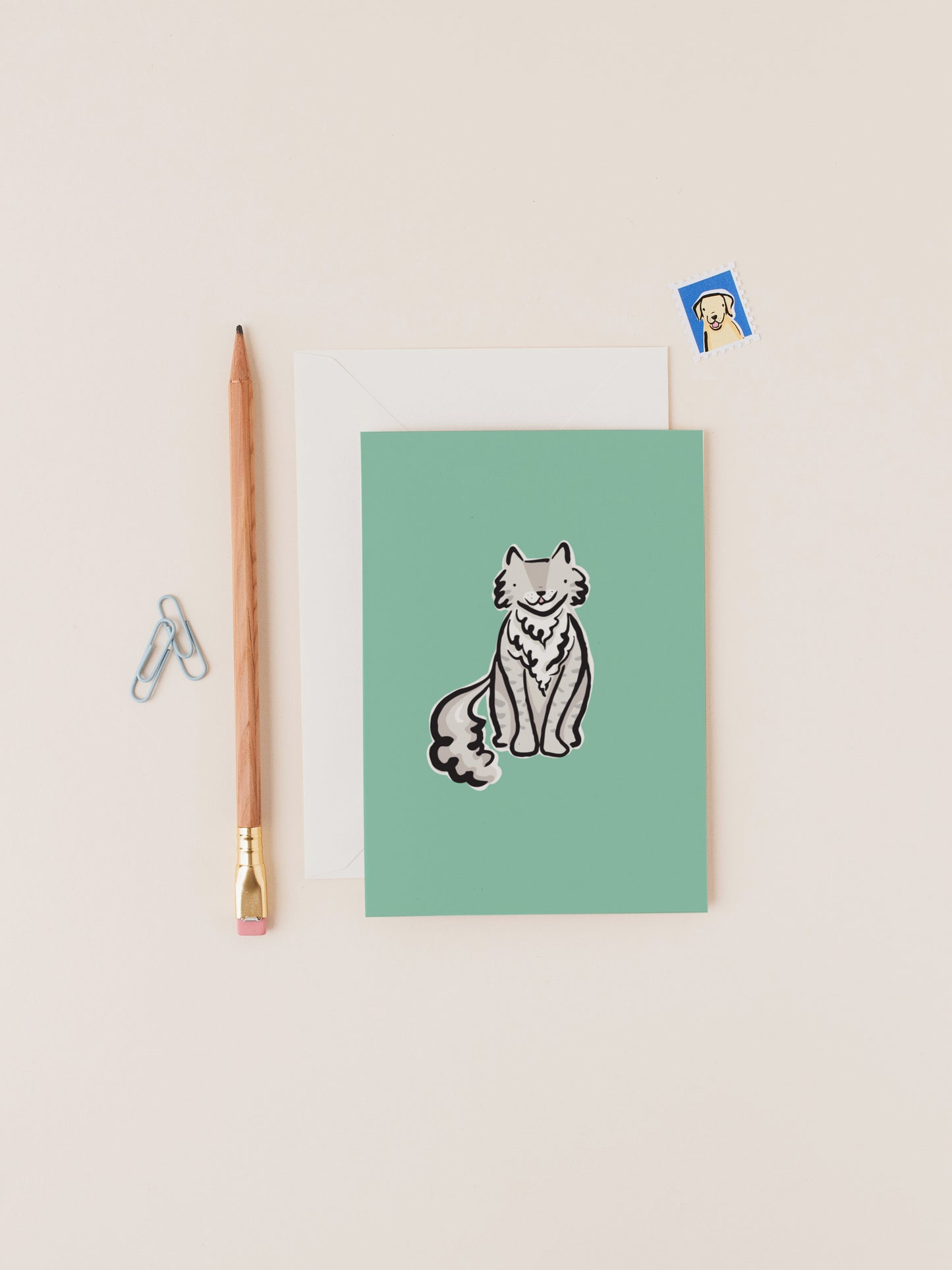 Dylan the Fluffy Grey Tabby Cat Card