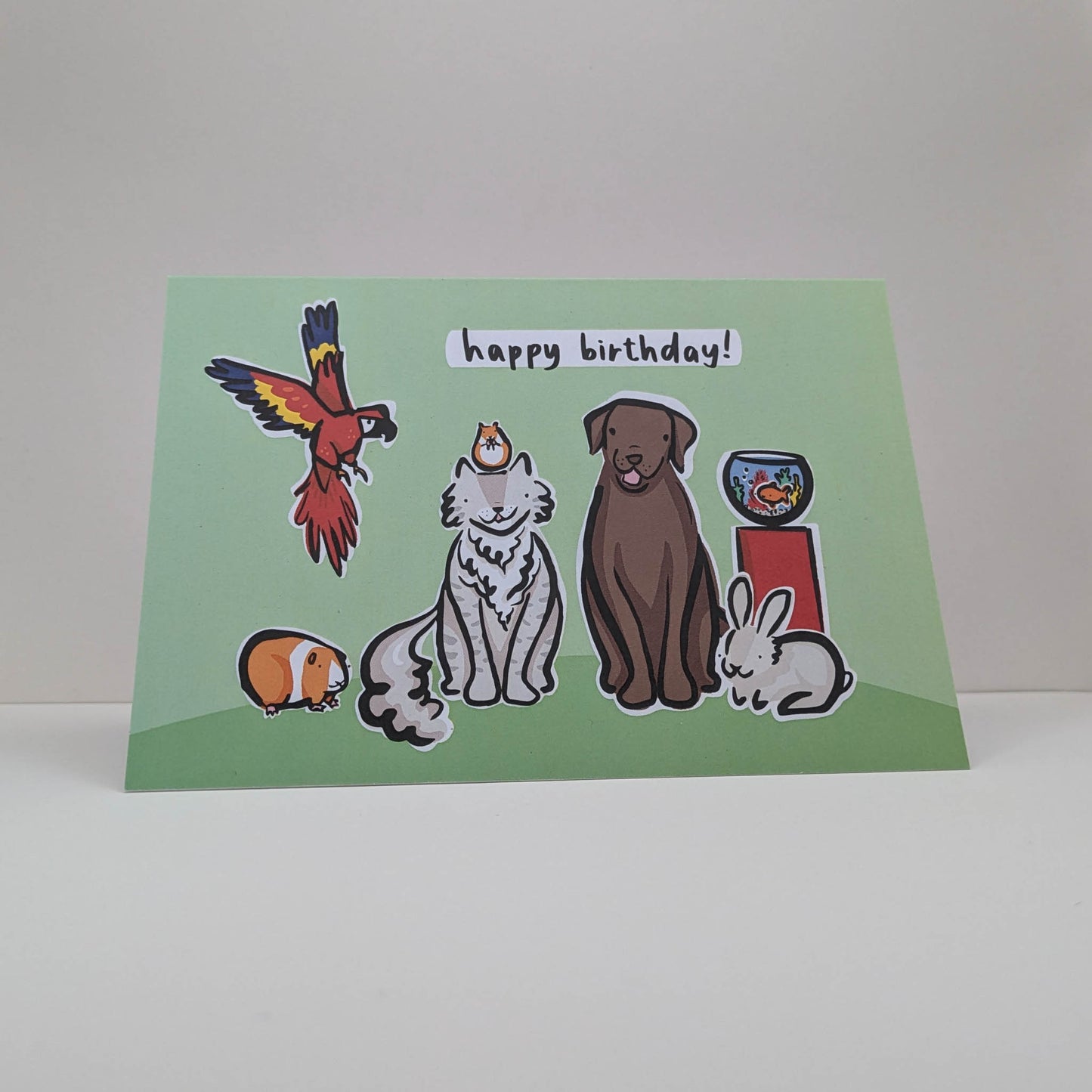 Pets Birthday Card