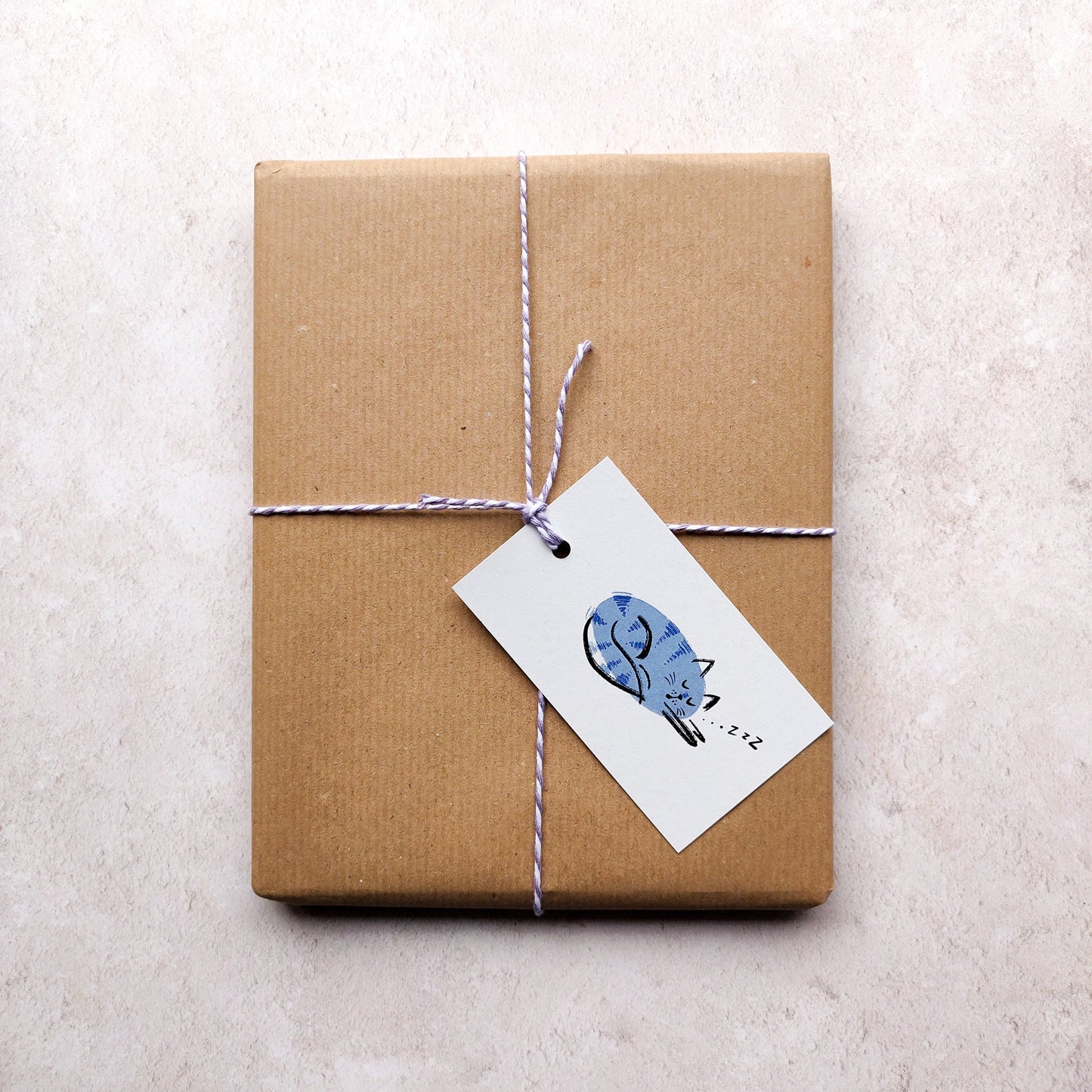 Cosy Cat Blue Gift Tags | Pack of 6